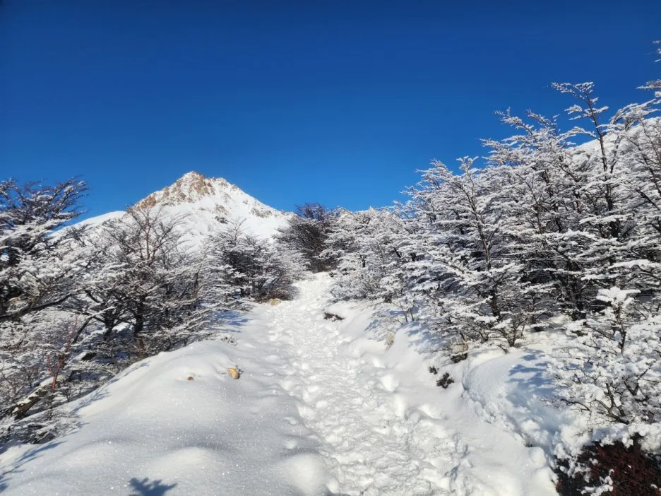 KakaoTalk_20240809_044830248_26.jpg?type=w1