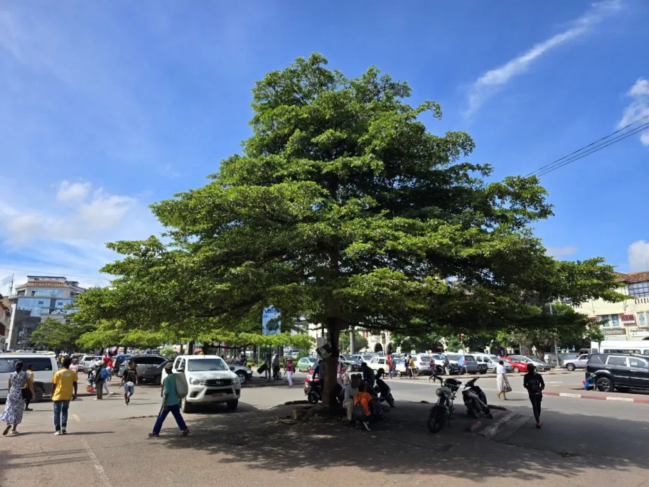 KakaoTalk_20250314_114644521_06.jpg?type=w1