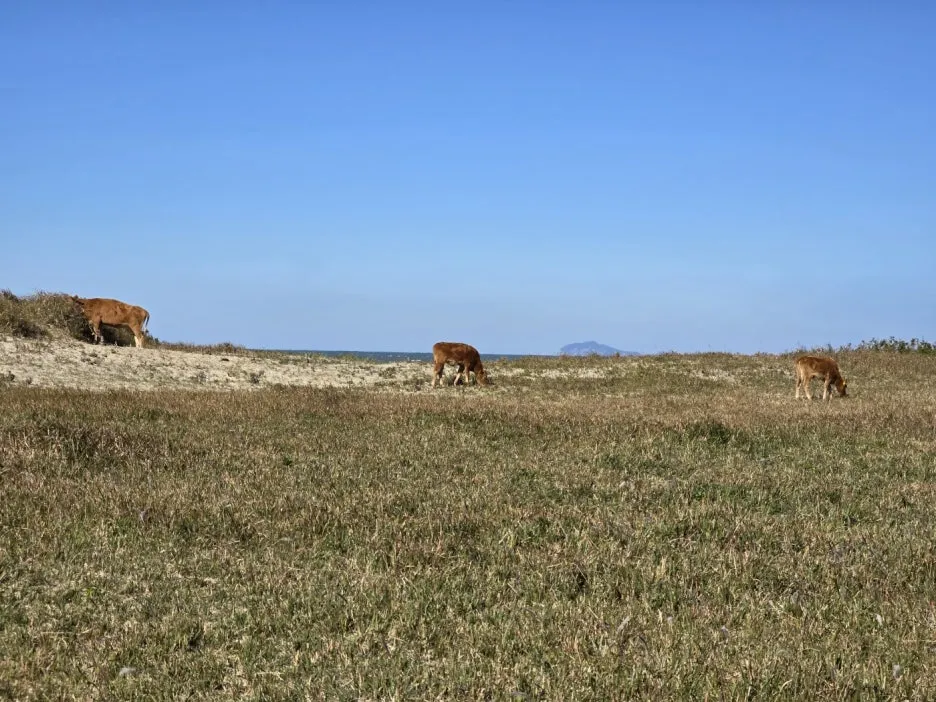 KakaoTalk_20241107_045832646_20.jpg?type=w1