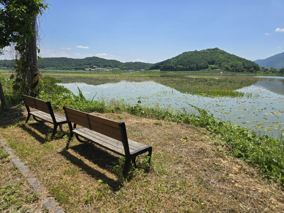 KakaoTalk_20250615_052355191_21.jpg?type=w1