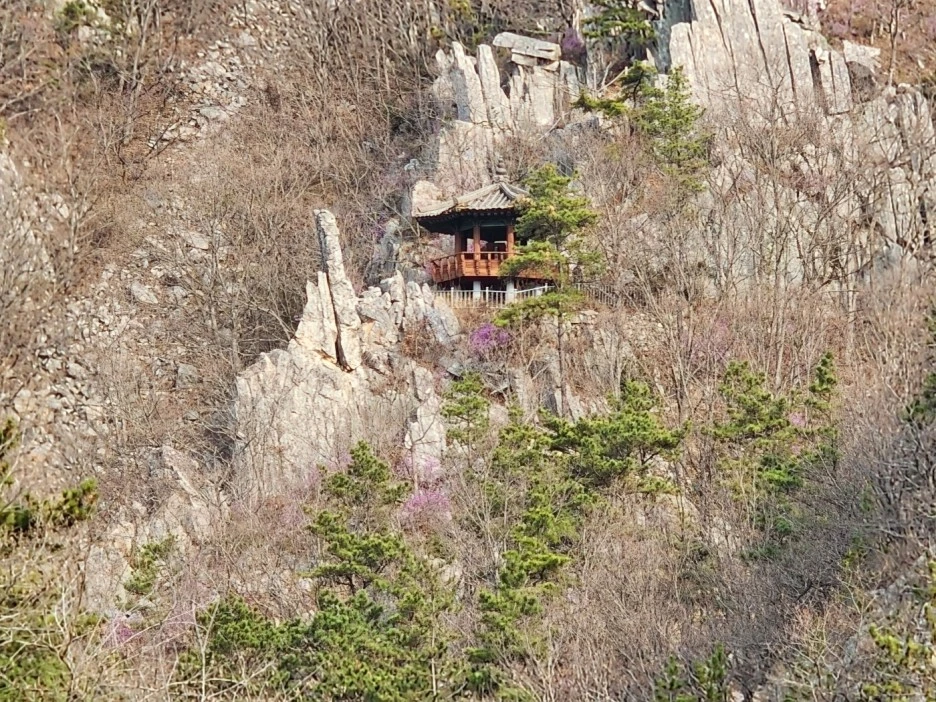 KakaoTalk_20230330_030454161_08.jpg?type=w1