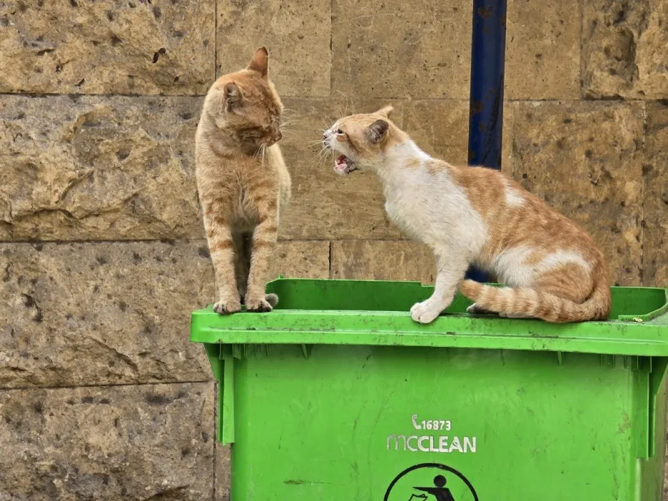 KakaoTalk_20250221_164144773_08.jpg?type=w1