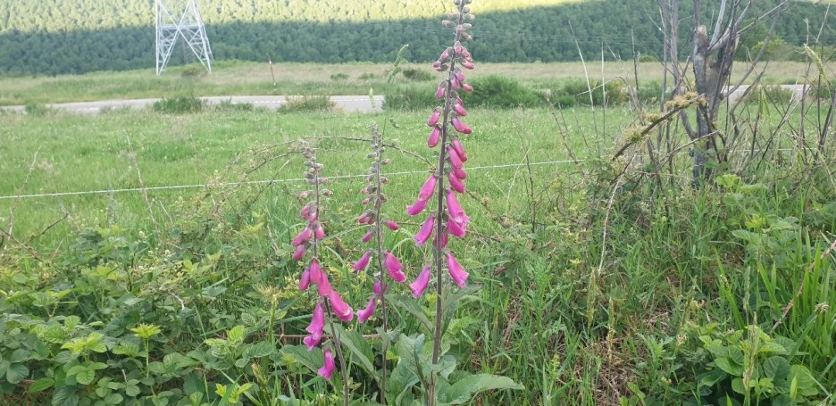 KakaoTalk_20220610_223039863_05.jpg?type=w1