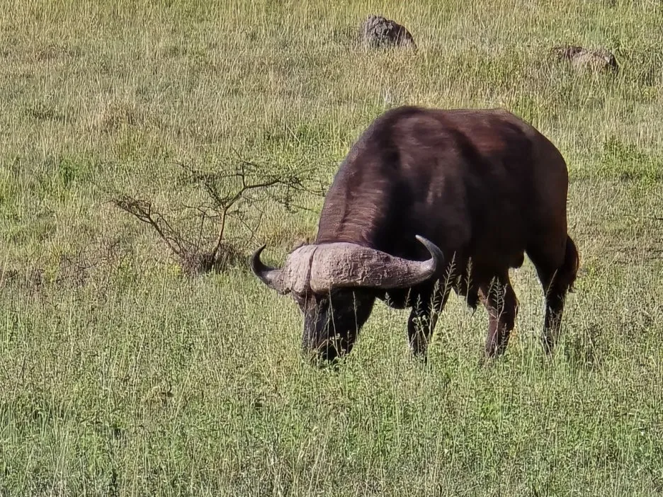 KakaoTalk_20250405_153555823_05.jpg?type=w1