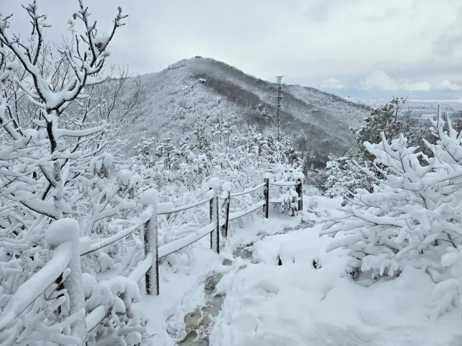 KakaoTalk_20241129_050938052_23.jpg?type=w1