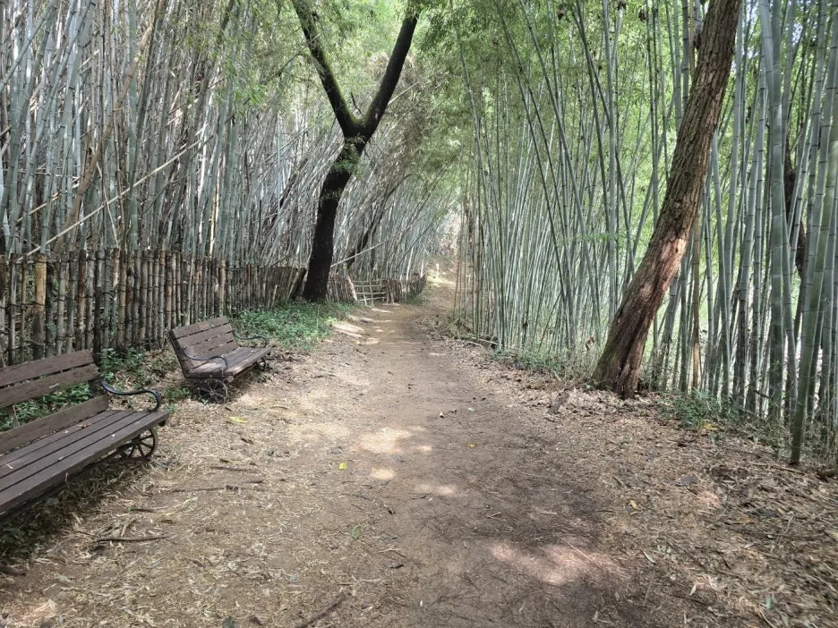 KakaoTalk_20241023_023745528_12.jpg?type=w1