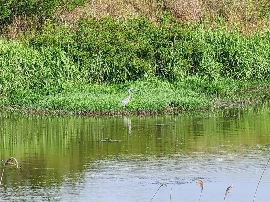 KakaoTalk_20240520_150332918_18.jpg?type=w1