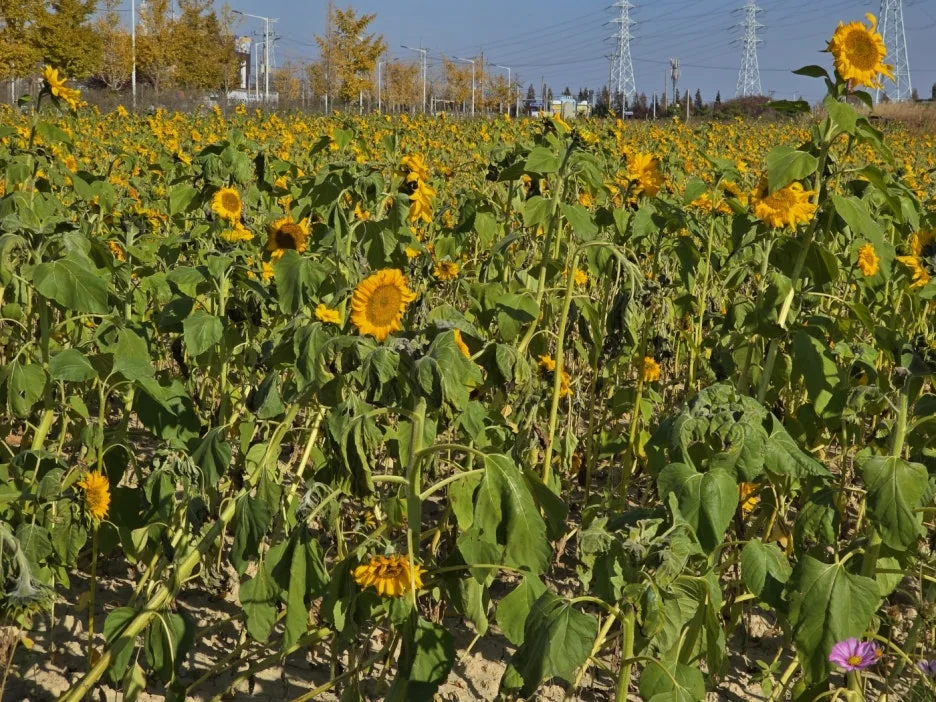 KakaoTalk_20241122_202414998_29.jpg?type=w1