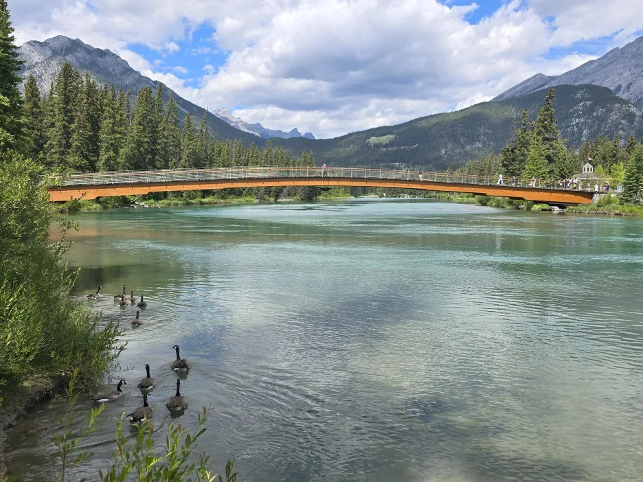 KakaoTalk_20250728_070916100_18.jpg?type=w1