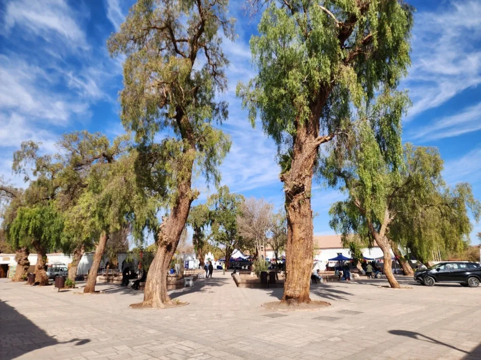 KakaoTalk_20240722_045457867_01.jpg?type=w1