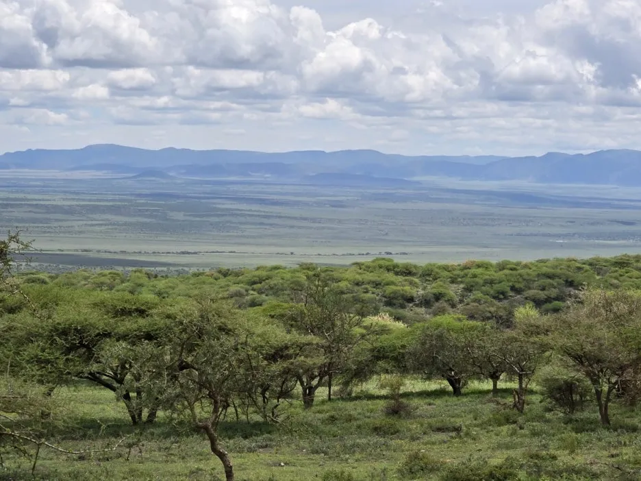 KakaoTalk_20250405_134443007_02.jpg?type=w1