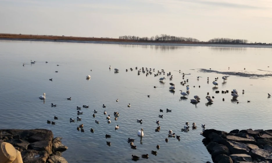 SE-cf9f7b88-89ff-44cb-a6fd-aa4c852b4ad5.jpg?type=w1