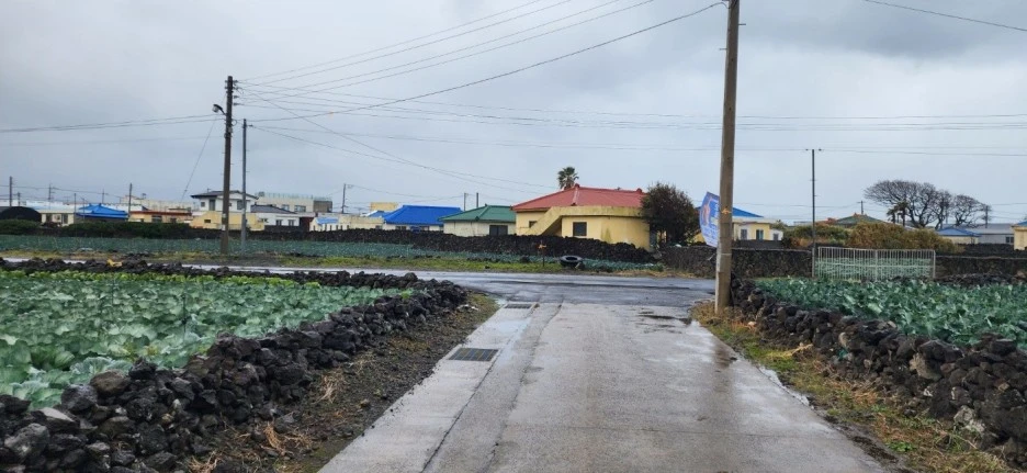 SE-47d52159-f04b-45d8-8d54-9e3baab7ddf7.jpg?type=w1