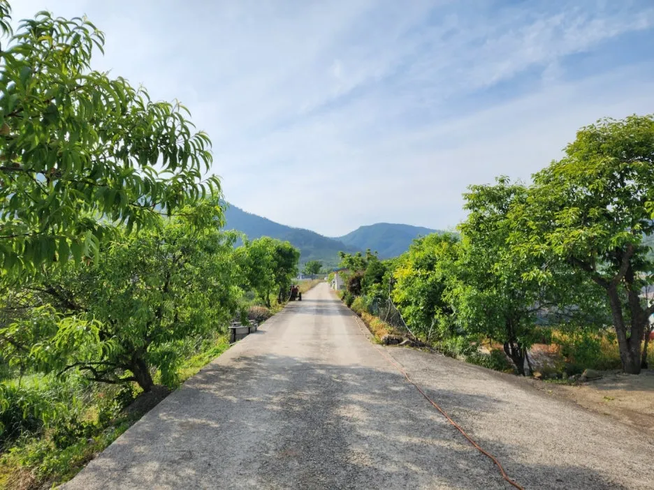 KakaoTalk_20240602_164520524_01.jpg?type=w1