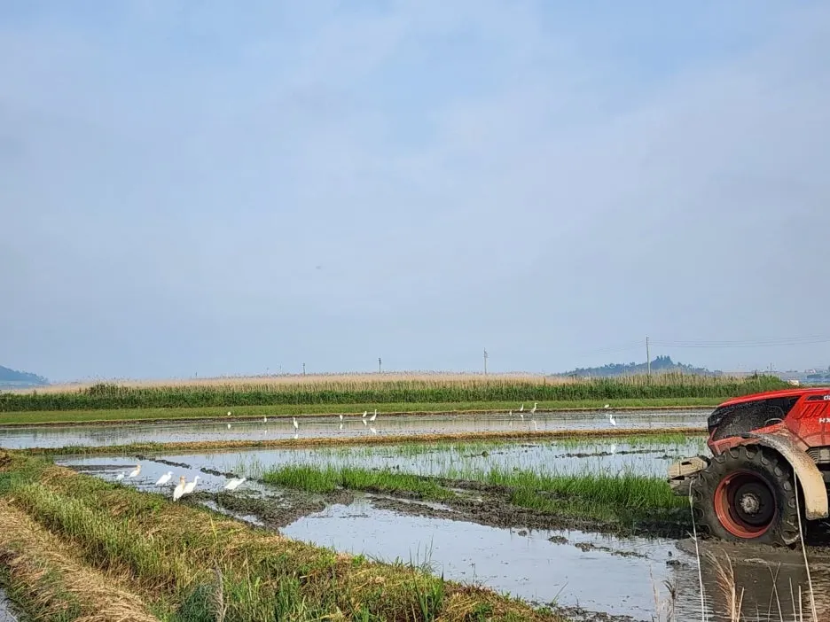 KakaoTalk_20240522_154457657_08.jpg?type=w1