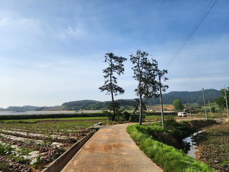 KakaoTalk_20240527_172250853_06.jpg?type=w1