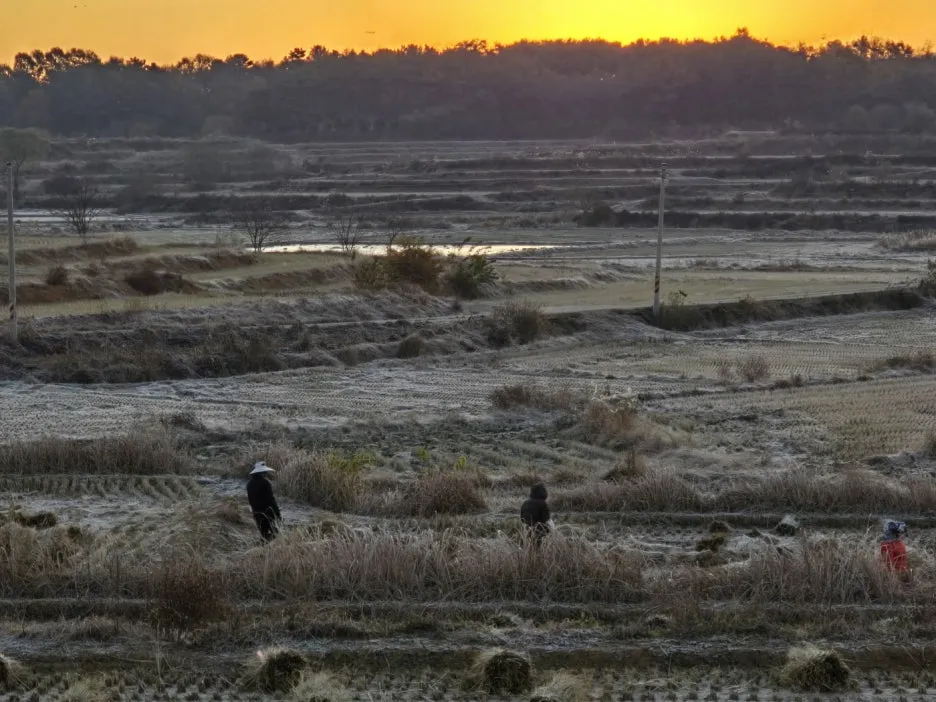 KakaoTalk_20241120_031352450_02.jpg?type=w1