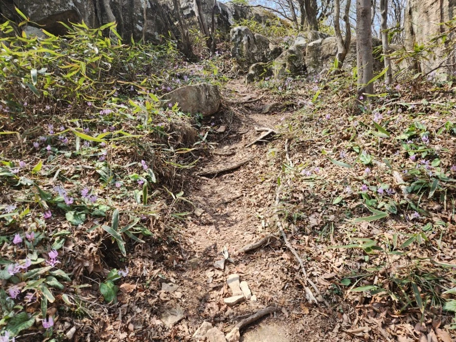 KakaoTalk_20230331_035853682_18.jpg?type=w1