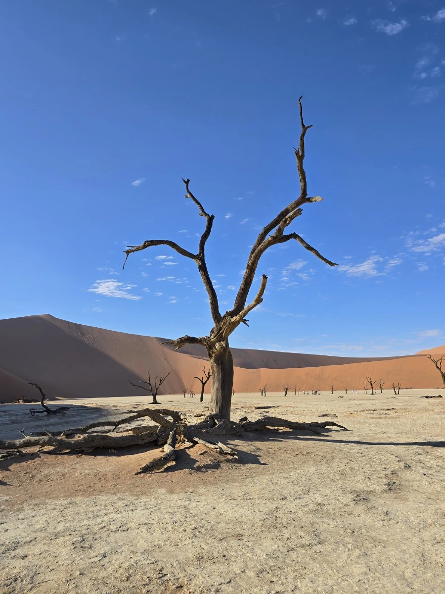 KakaoTalk_20250405_224423245_02.jpg?type=w1