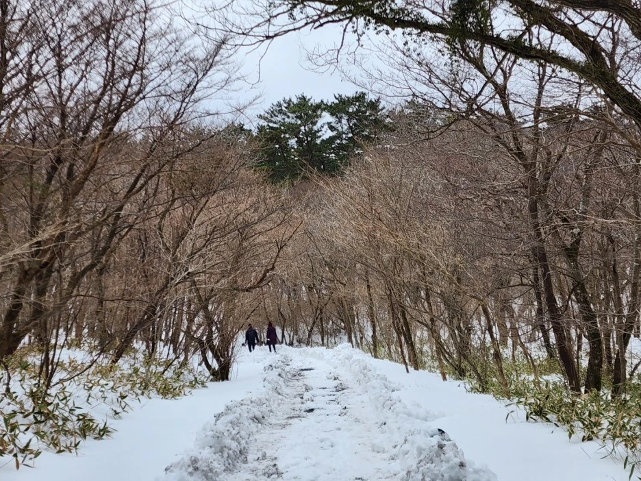 KakaoTalk_20230105_062519860_05.jpg?type=w1