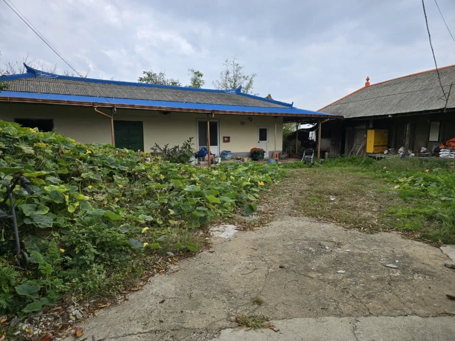 KakaoTalk_20241023_173909117_08.jpg?type=w1