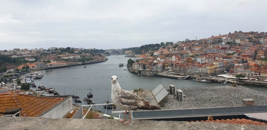 KakaoTalk_20220624_025946251_03.jpg?type=w1