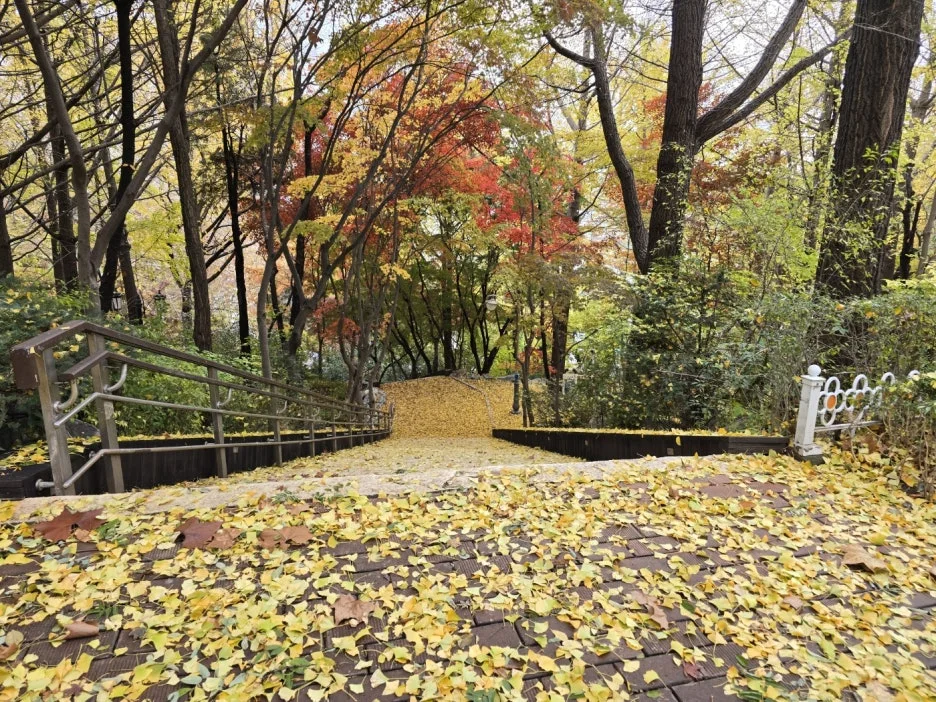 KakaoTalk_20241128_094326100_03.jpg?type=w1