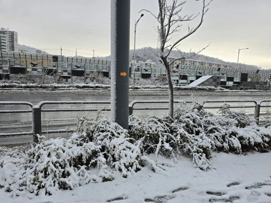 KakaoTalk_20241129_050938052.jpg?type=w1