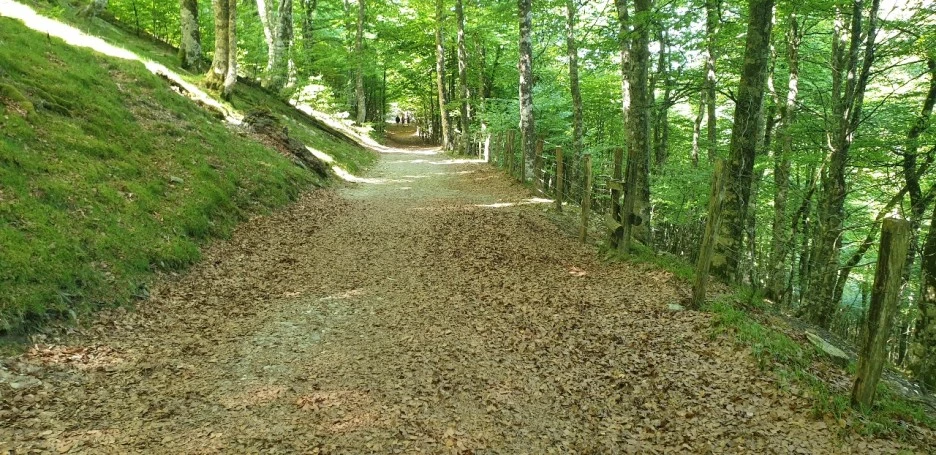 KakaoTalk_20220520_230646734_04.jpg?type=w1