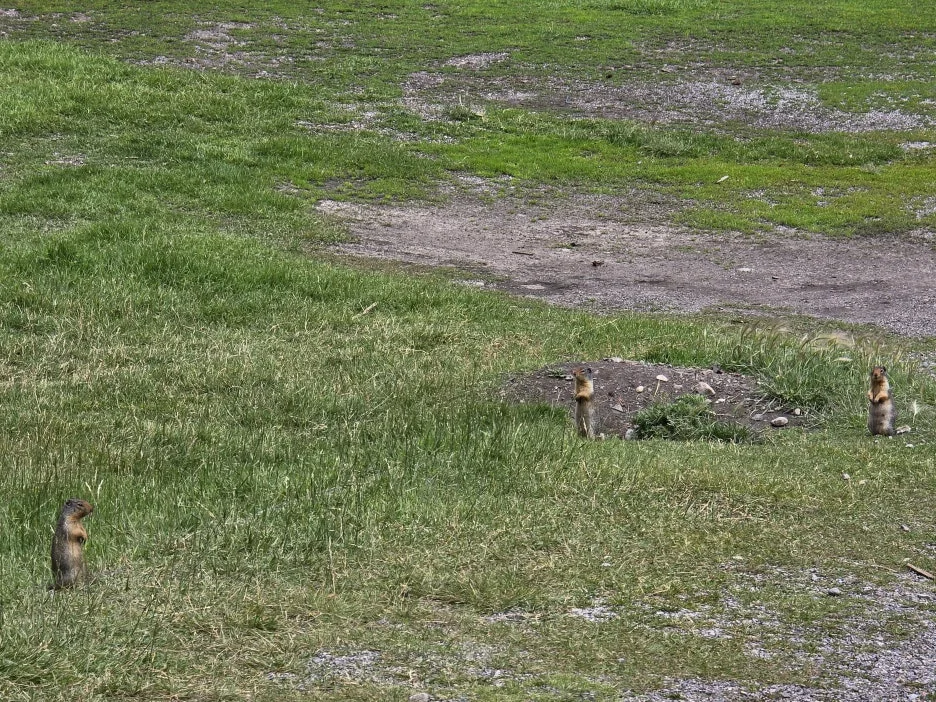 KakaoTalk_20250728_070916100_24.jpg?type=w1