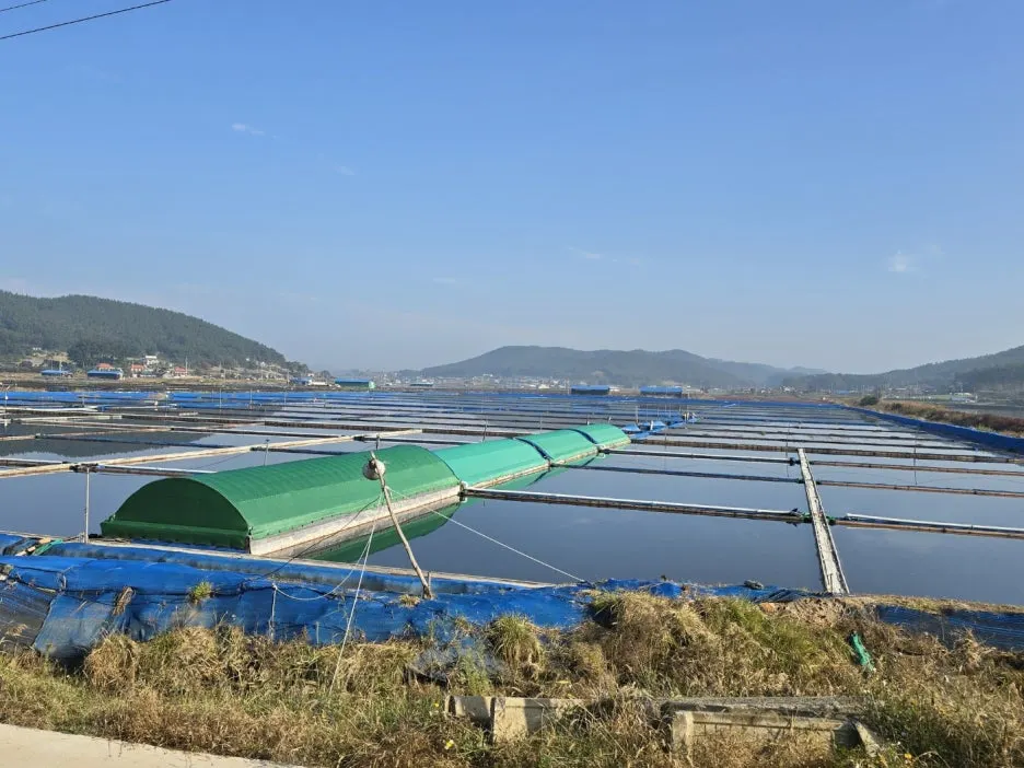 KakaoTalk_20241102_064540914_16.jpg?type=w1