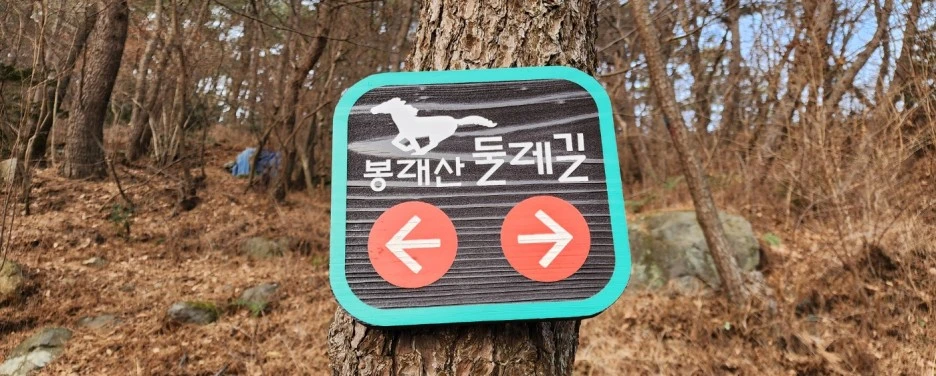 SE-abf9edb6-2e80-4d9c-b85d-e69d54f3aba1.jpg?type=w1