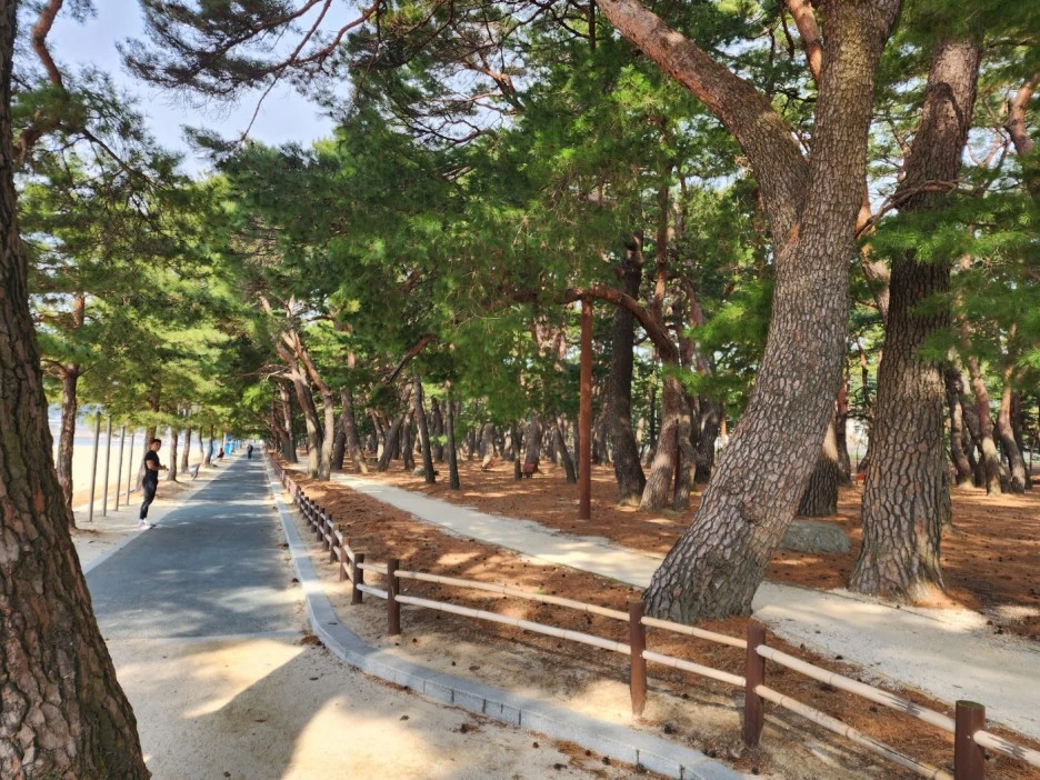 KakaoTalk_20230226_075912225_15.jpg?type=w1