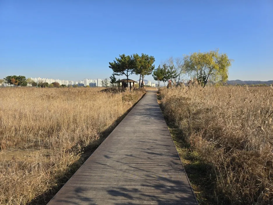 KakaoTalk_20241126_043411154_20.jpg?type=w1