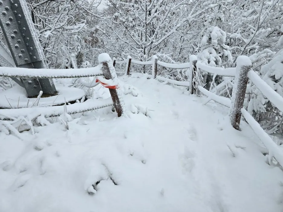 KakaoTalk_20241129_050938052_03.jpg?type=w1