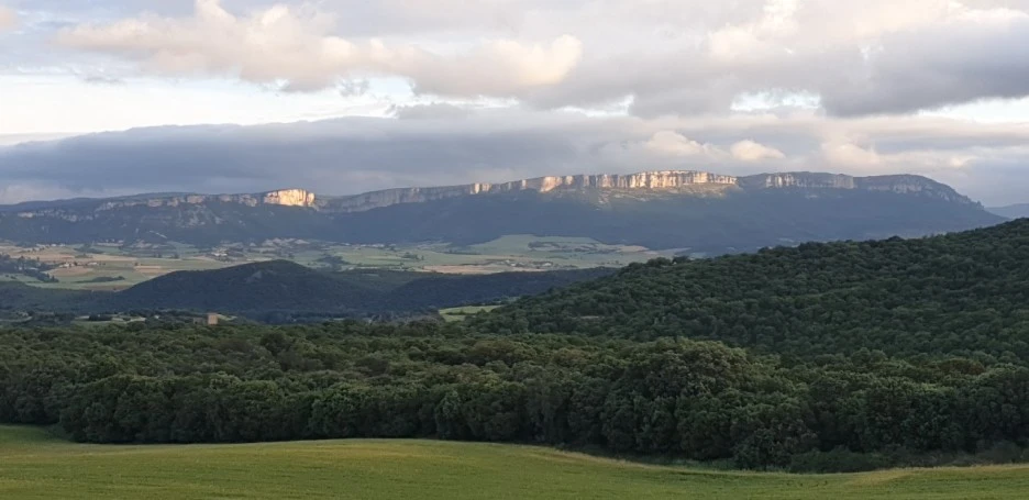 KakaoTalk_20220524_205910179_03.jpg?type=w1