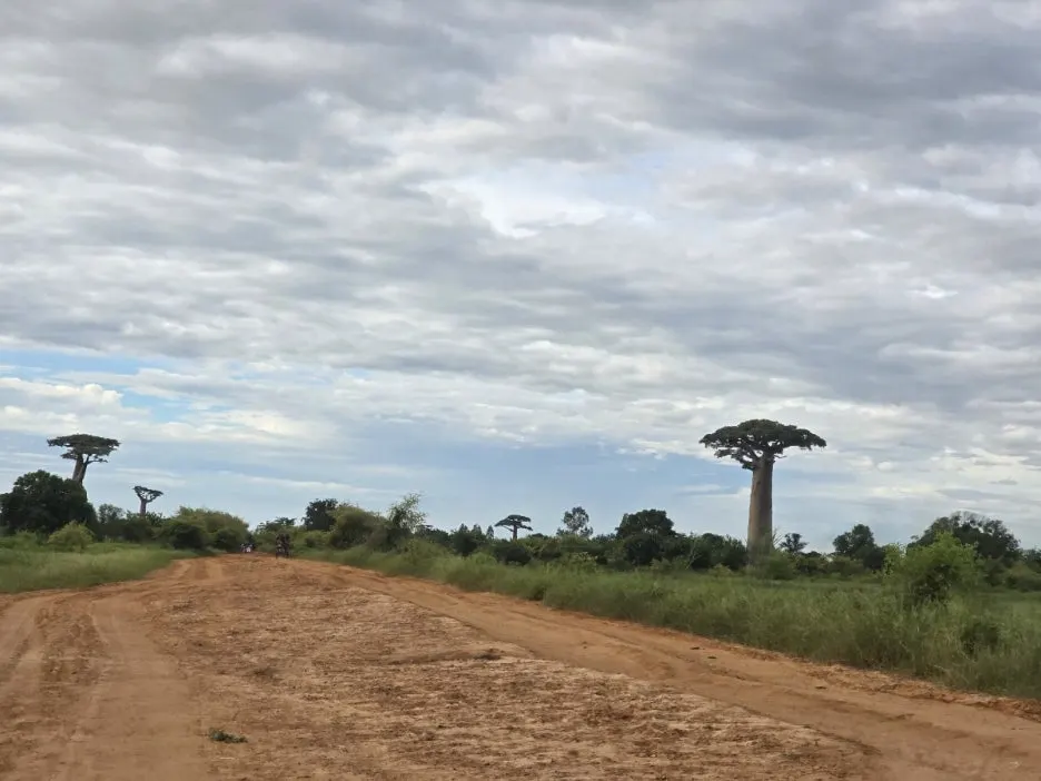 KakaoTalk_20250313_021335192_01.jpg?type=w1