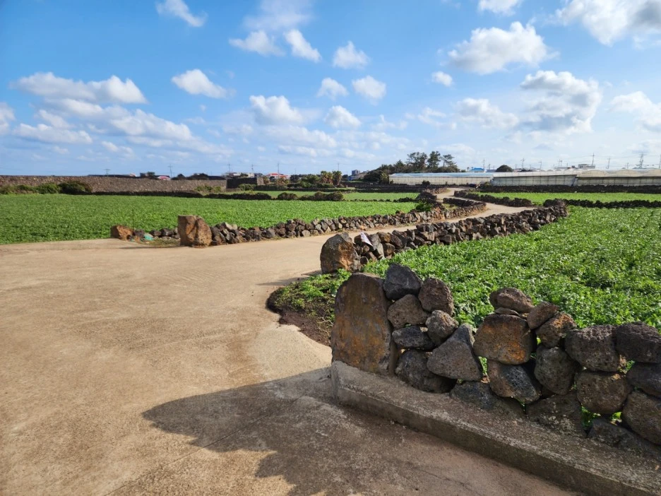 KakaoTalk_20221230_044226047_13.jpg?type=w1