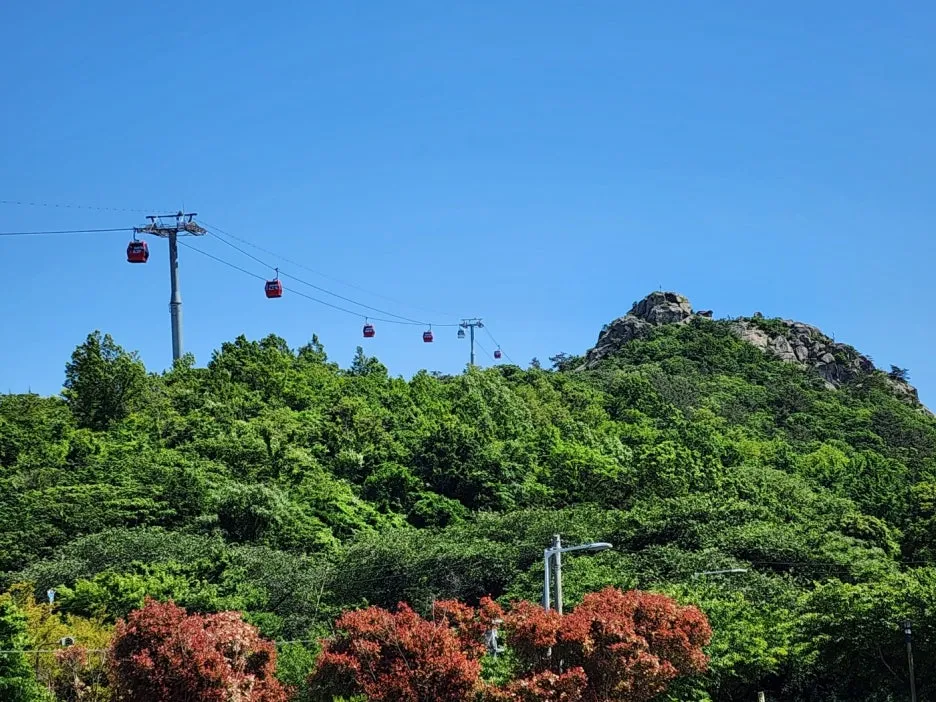 KakaoTalk_20240520_132456630_04.jpg?type=w1