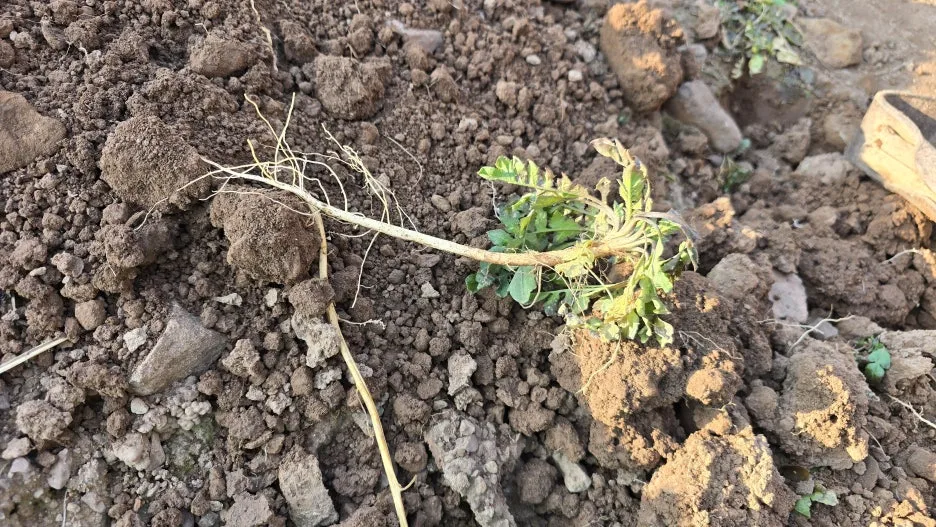 KakaoTalk_20251208_152411710_03.jpg?type=w1