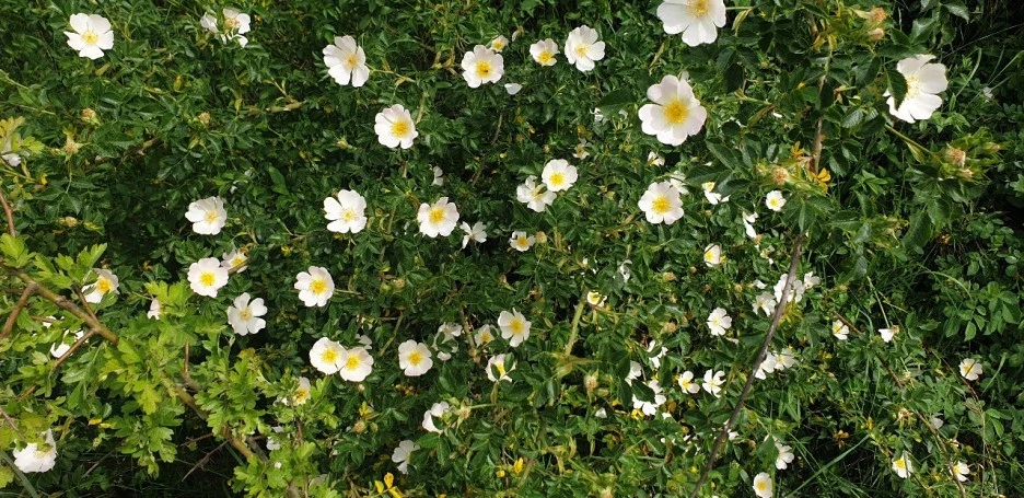 KakaoTalk_20220521_082850404_06.jpg?type=w1