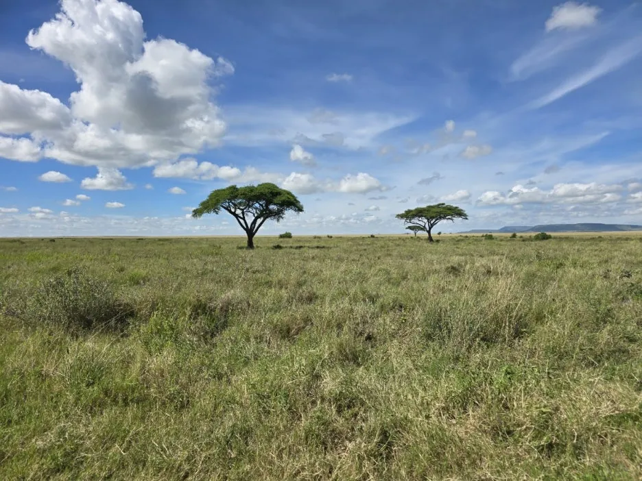 KakaoTalk_20250405_135250372_14.jpg?type=w1