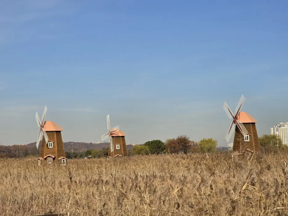 KakaoTalk_20241126_043411154_21.jpg?type=w1