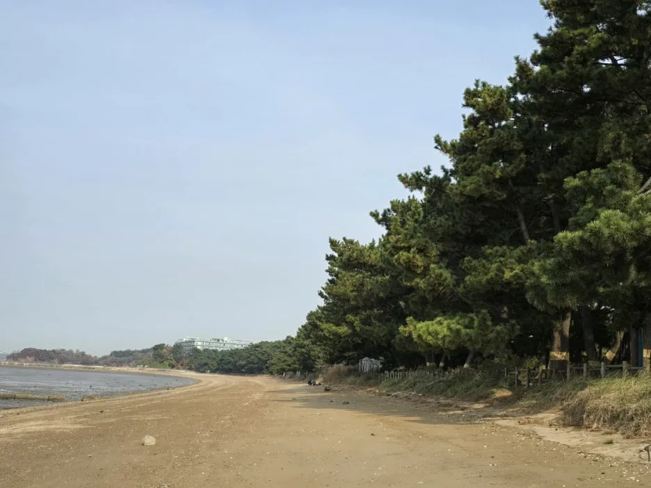 KakaoTalk_20241121_163313957_16.jpg?type=w1