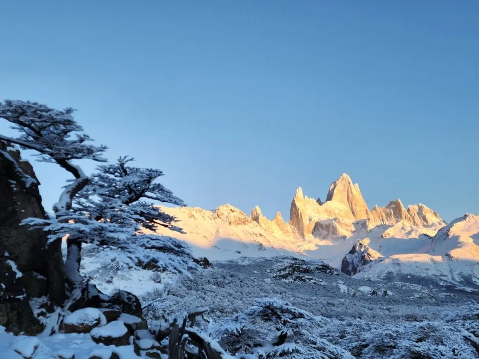 KakaoTalk_20240809_044224426_12.jpg?type=w1