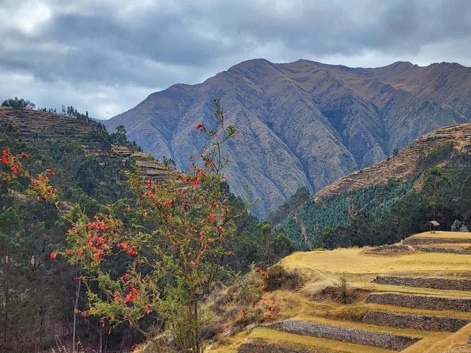 KakaoTalk_20240710_035211628_07.jpg?type=w1