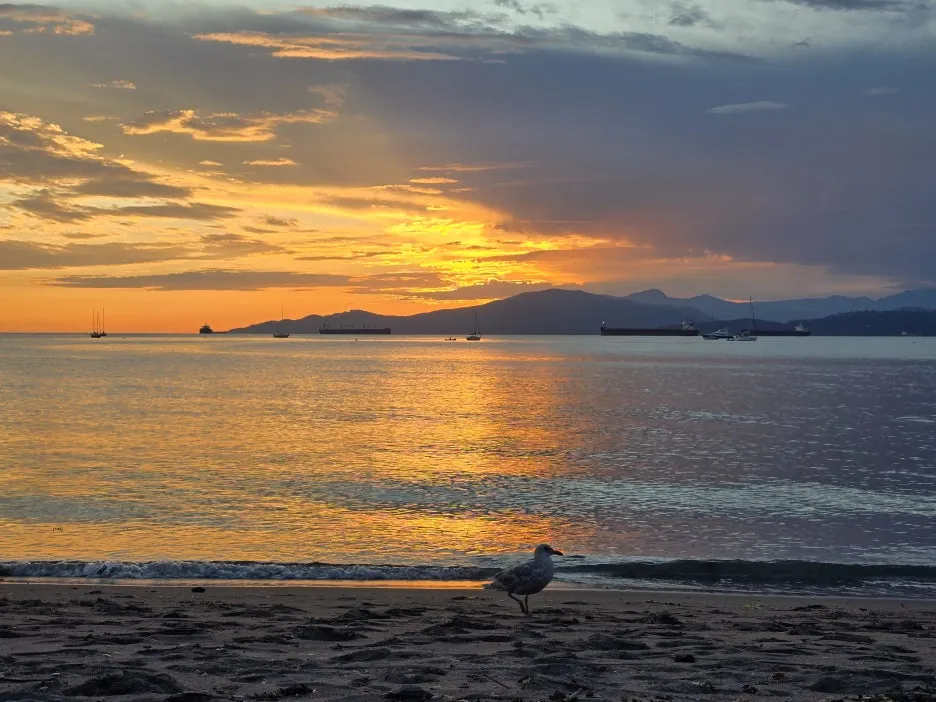 KakaoTalk_20250724_031453973_04.jpg?type=w1