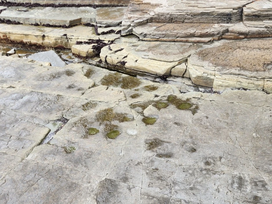 KakaoTalk_20230218_065358503_14.jpg?type=w1