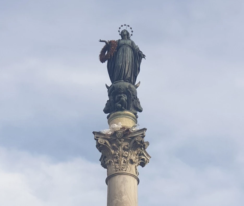 SE-c4ab896b-2099-4518-9e42-996f4cd585a0.jpg?type=w1