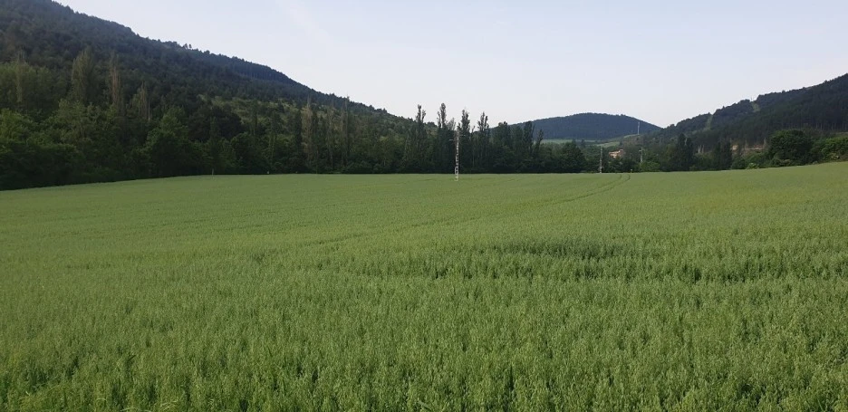 KakaoTalk_20220521_224322565_08.jpg?type=w1